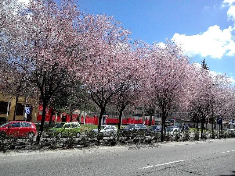 Imagen representativa de la localización