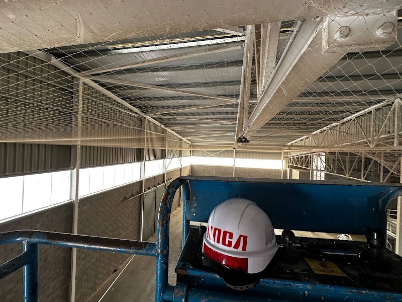 Imagen de Roca Defisan