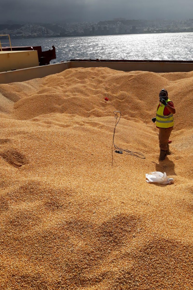 Imagen de Roca Defisan