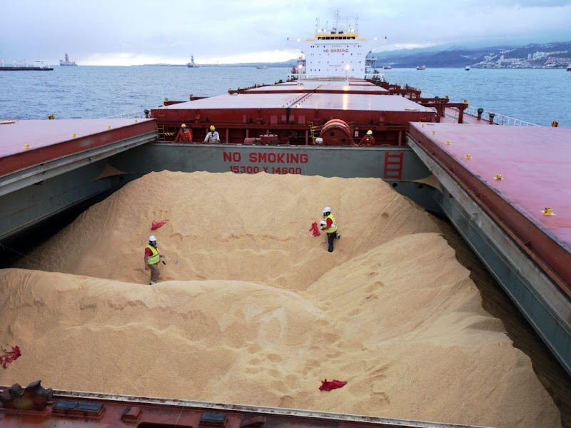 Imagen de Roca Defisan