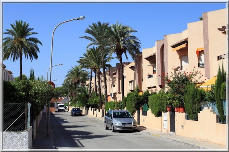 Imagen de negocio en Desarrollo web en Región de Murcia
