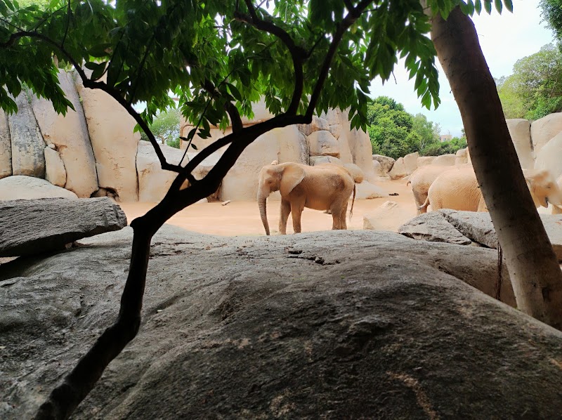 Imagen representativa de la localización