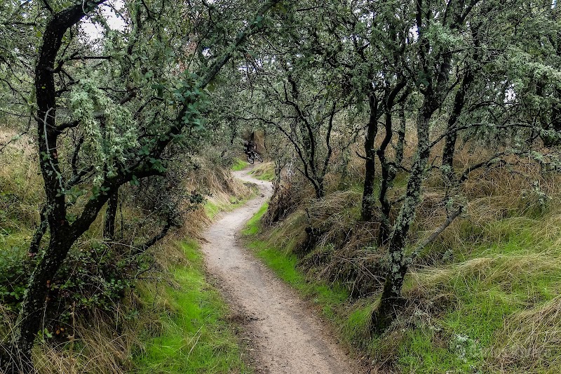 Imagen representativa de la localización