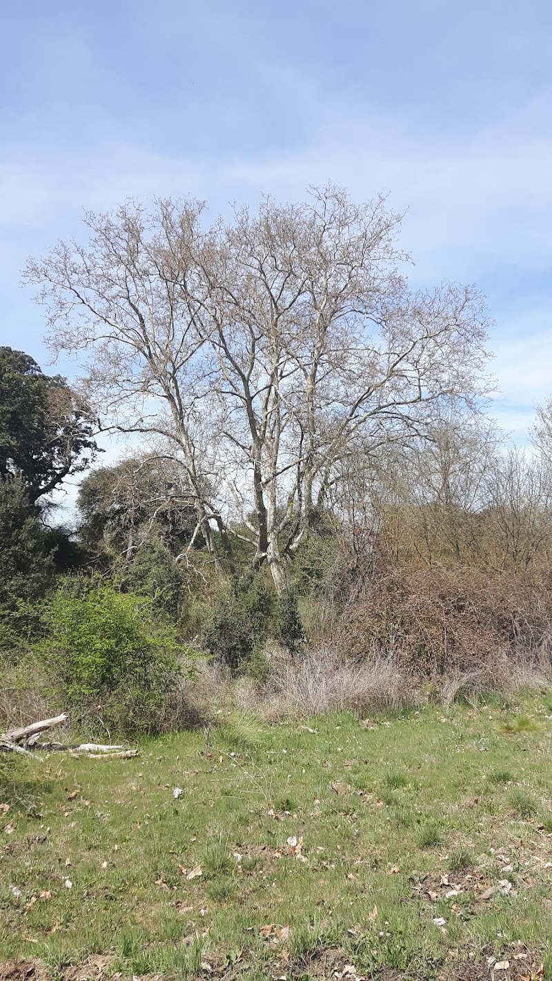 Imagen representativa de la localización