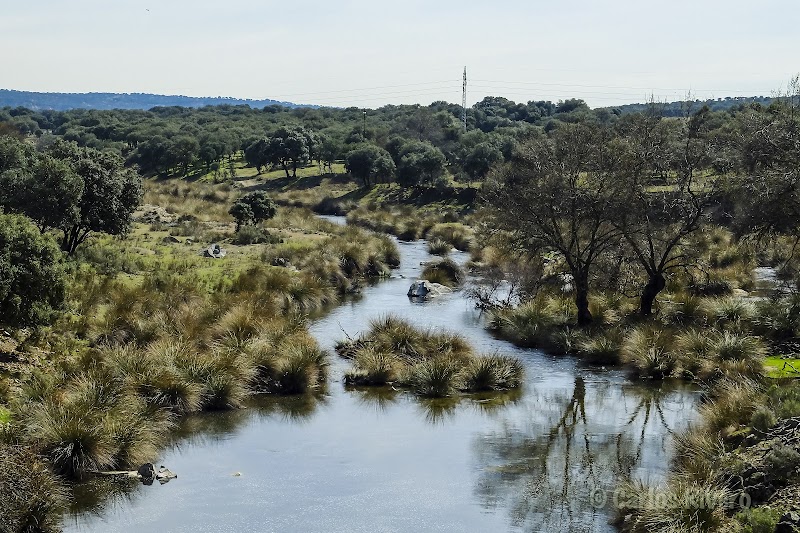 Imagen representativa de la localización