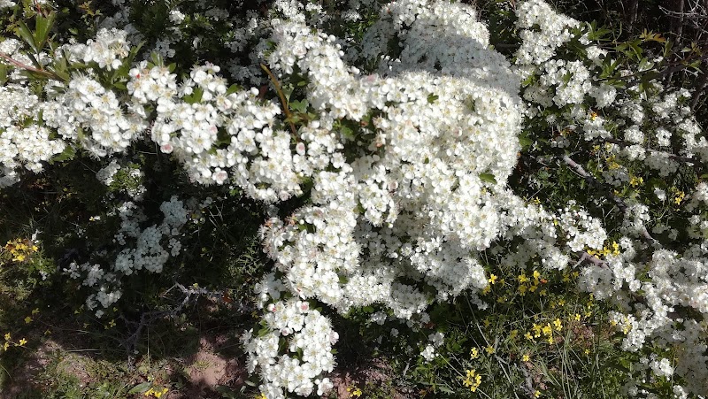 Imagen representativa de la localización