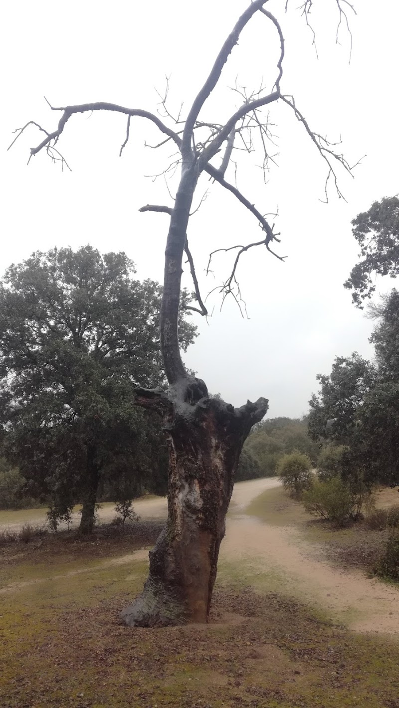 Imagen representativa de la localización