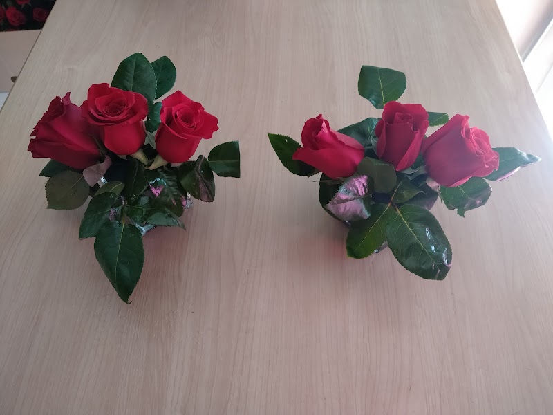 Imagen de El Tulipan Floristeria