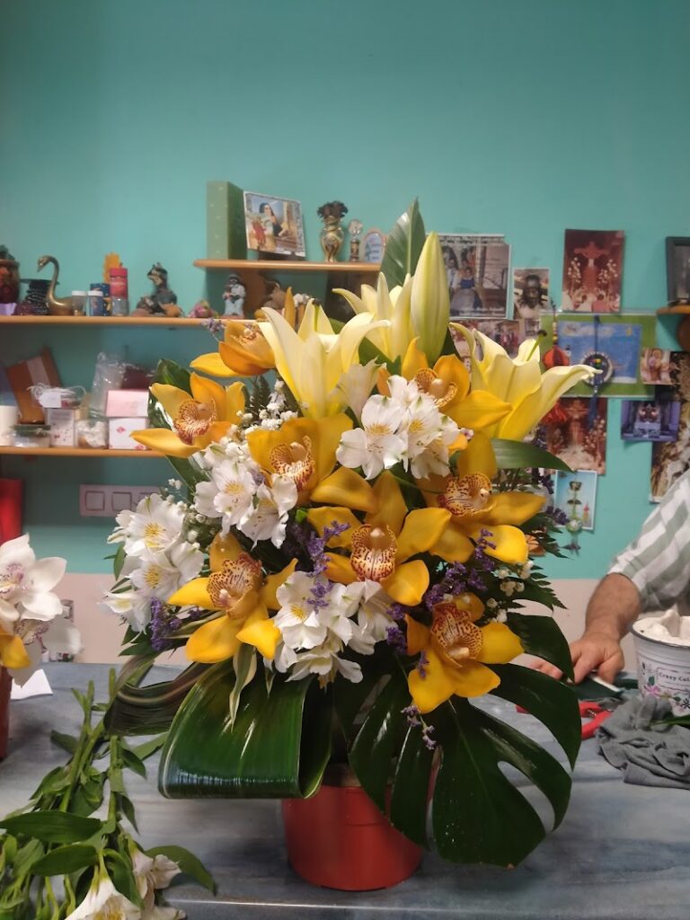 Imagen de El Tulipan Floristeria