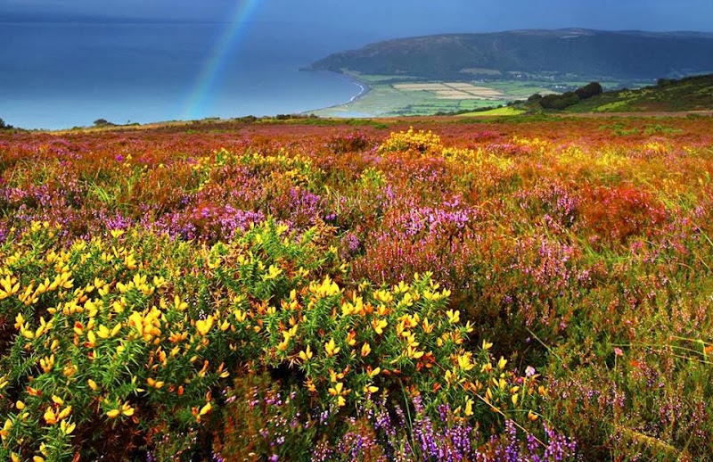 Imagen de Somerset Language Centre