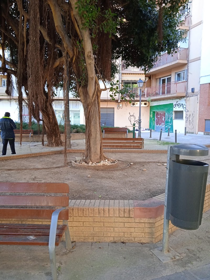 Imagen de negocio en Actividades al aire libre