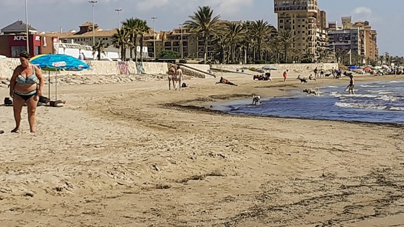 Imagen representativa de la localización