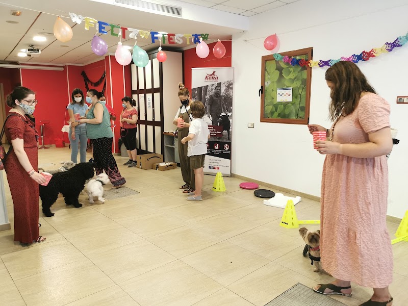 Imagen de Koira Adiestramiento Canino