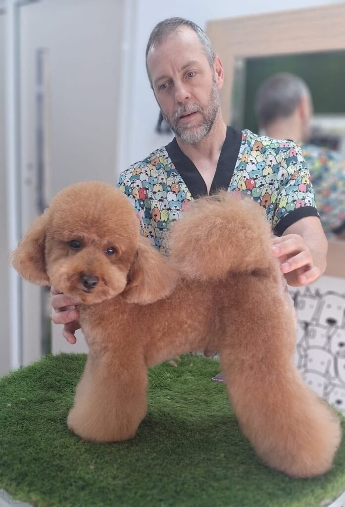 Imagen de Aratinga Peluqueria Canina