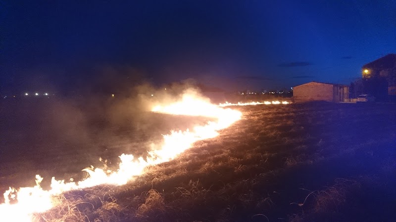 Imagen de Alquería Rin