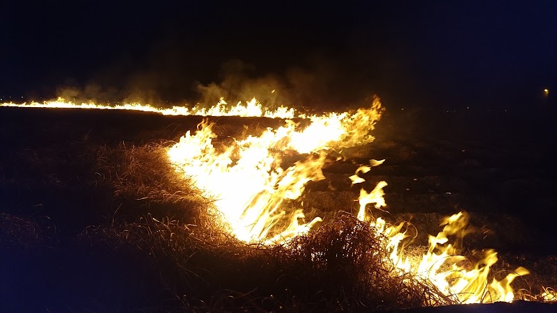 Imagen de Alquería Rin
