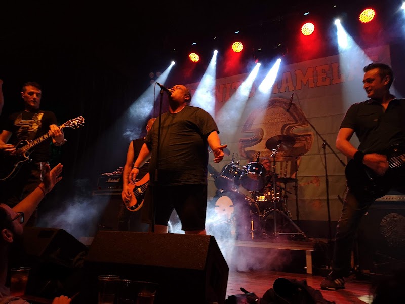 Imagen de Rock City
