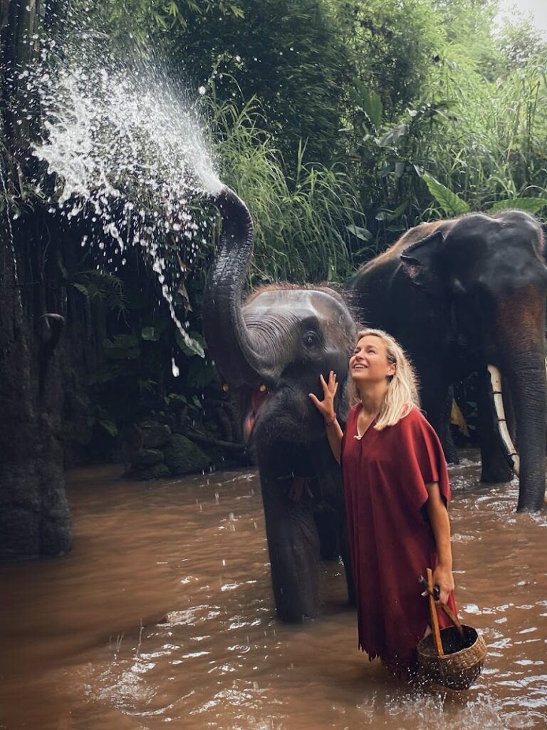 Imagen de Ve Vive Viaja