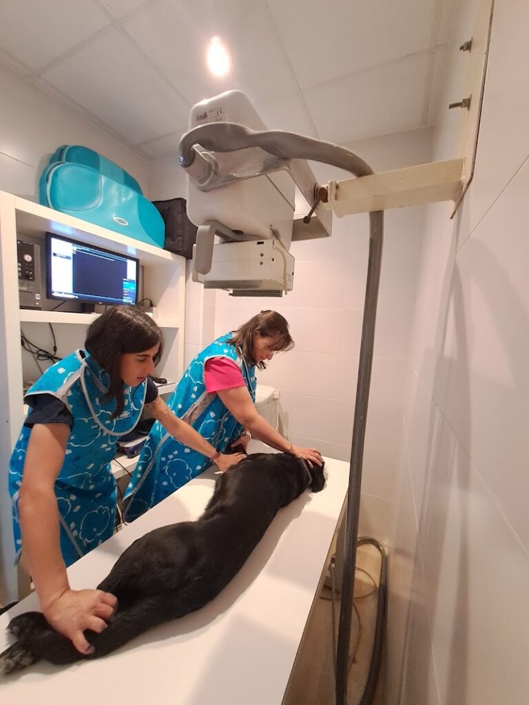 Imagen de Clínica Veterinaria Amets