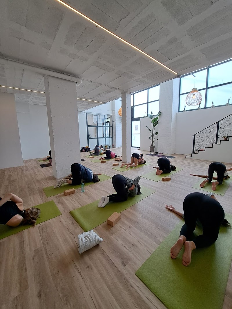 Imagen de Vibra Yoga Studio