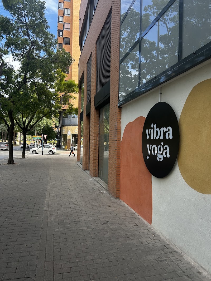 Imagen de Vibra Yoga Studio