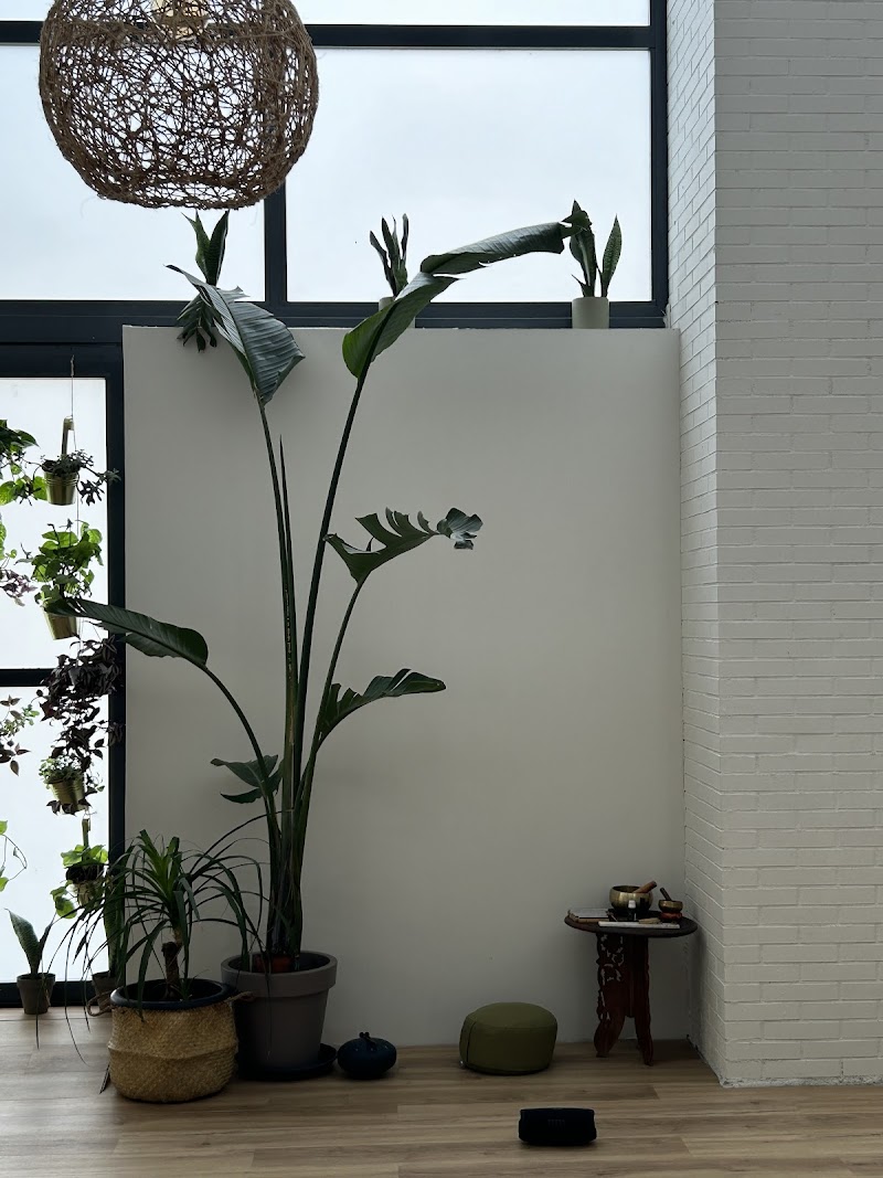 Imagen de Vibra Yoga Studio