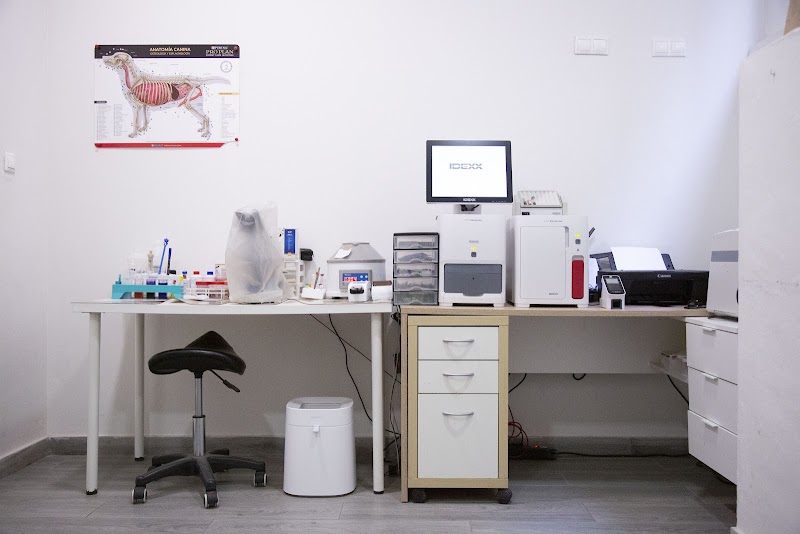 Imagen de Clínica Veterinaria Más Que Mascotas