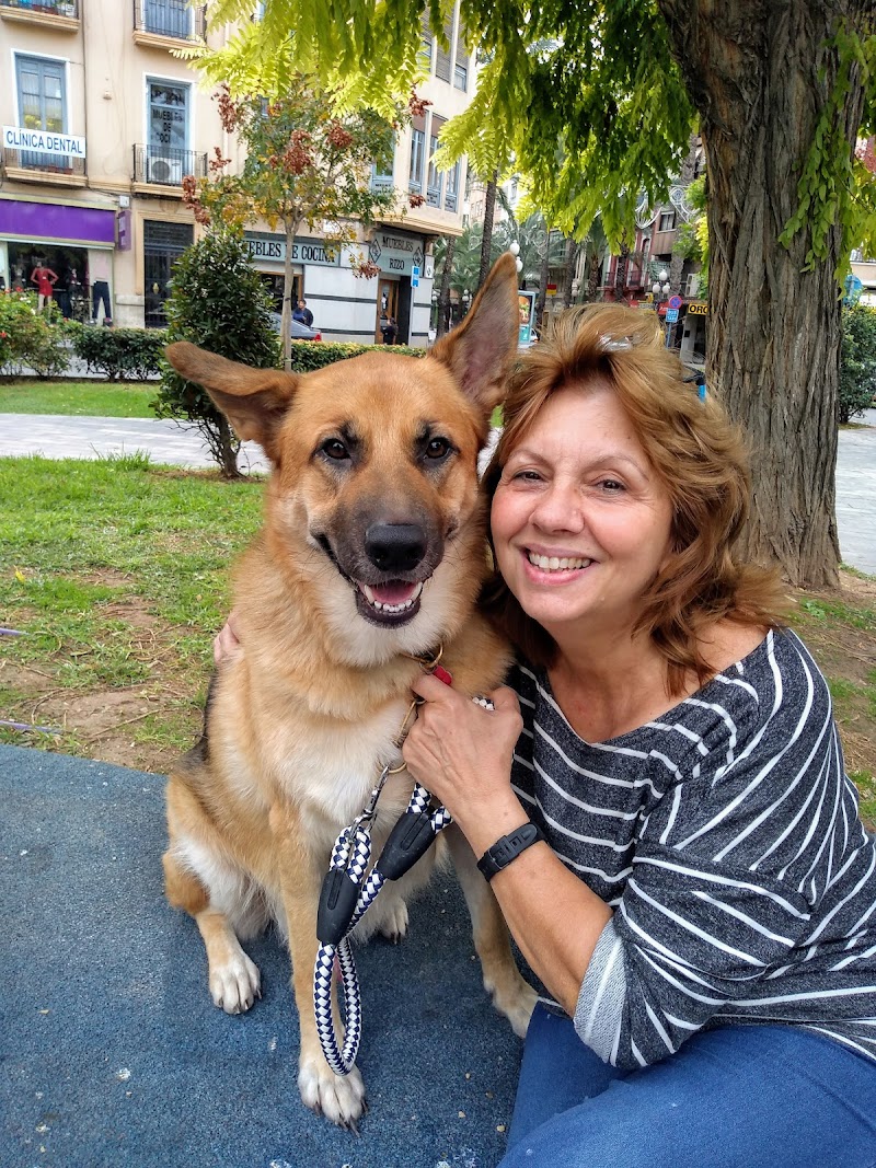Imagen de Clínica Veterinaria Más Que Mascotas