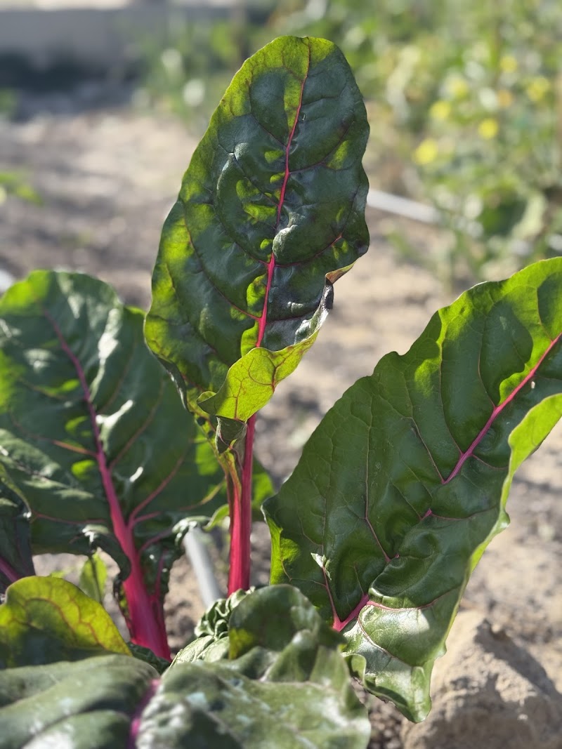 Imagen de negocio en Jardinería y exterior