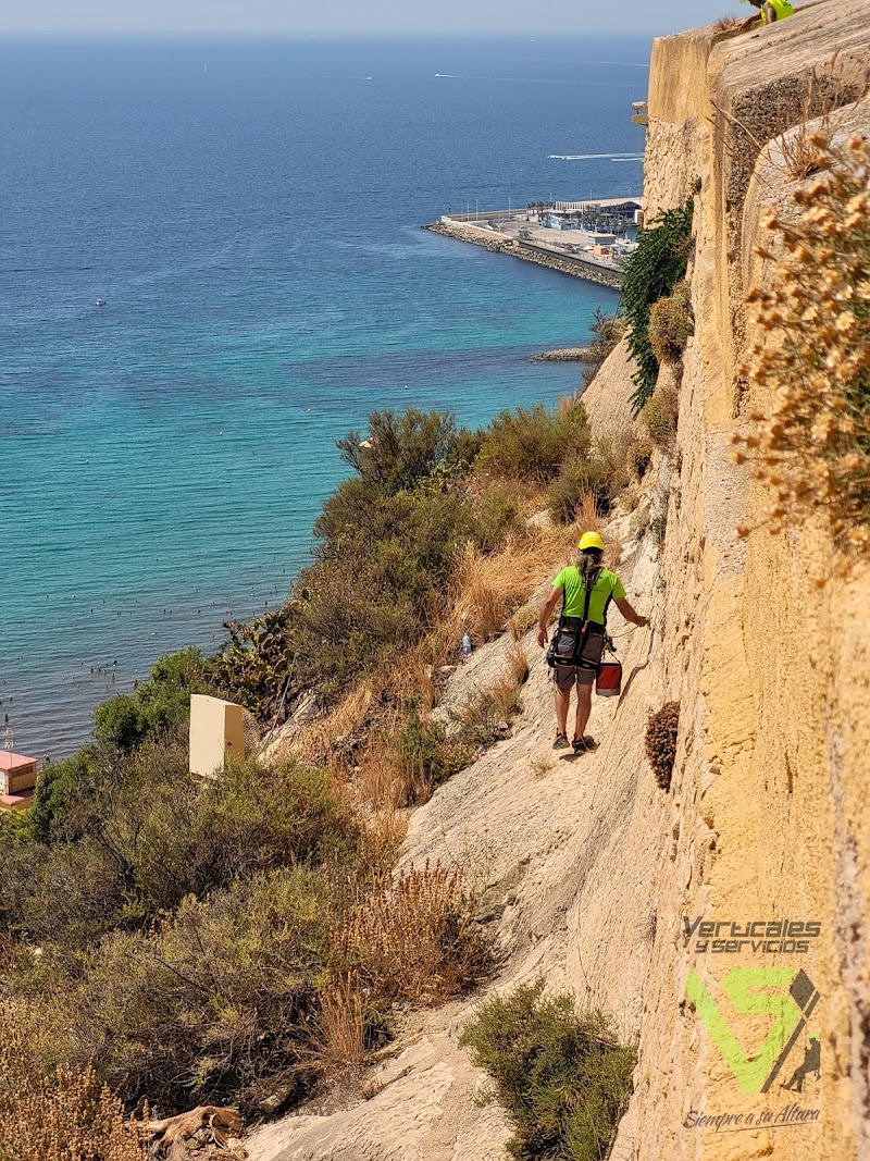 Imagen de Verticales y Servicios