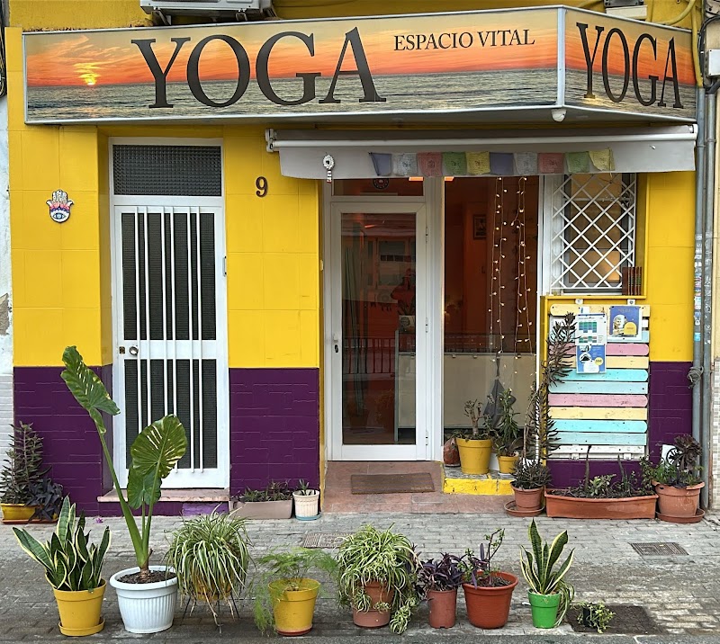 Imagen de Yoga Espacio Vital Alicante