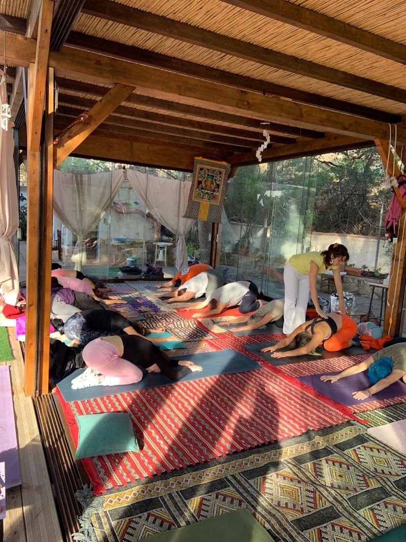 Imagen de Yoga Espacio Vital Alicante