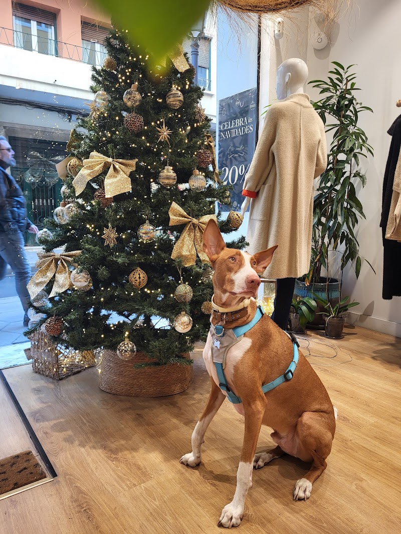 Imagen de Arena y Mar Moda