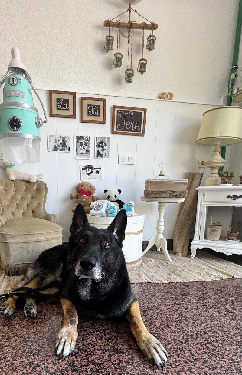 Imagen de La Tía Tere Autolavado Canino y Peluquería Canina