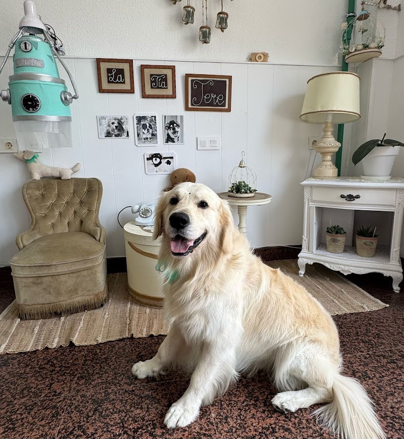 Imagen de La Tía Tere Autolavado Canino y Peluquería Canina
