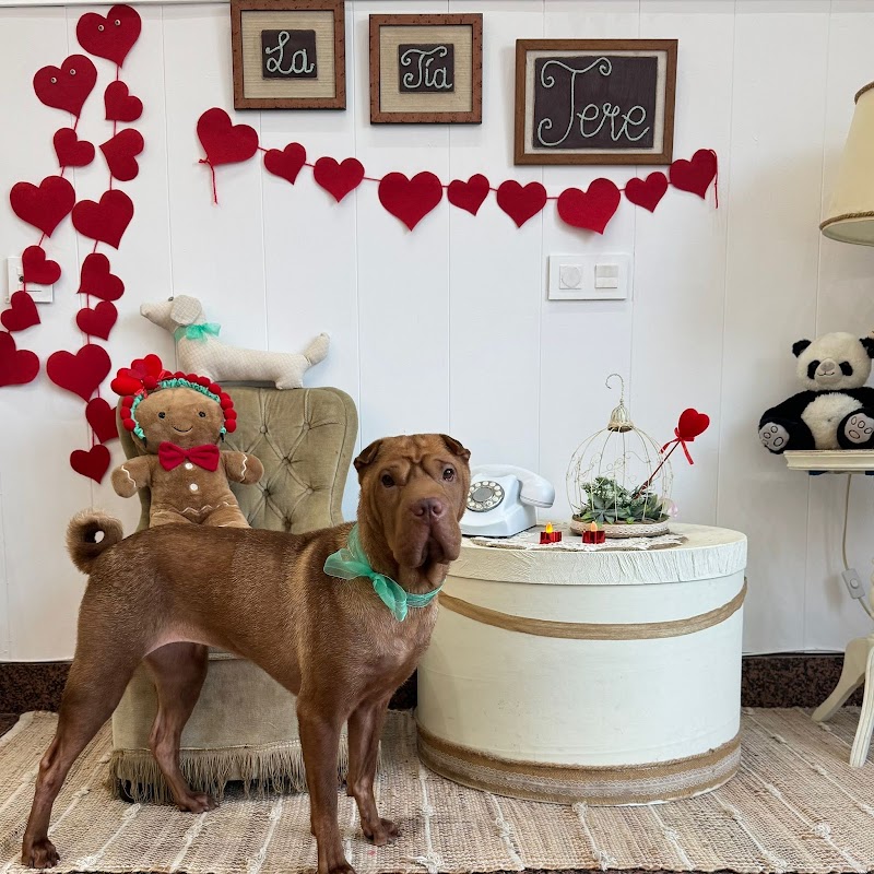 Imagen de La Tía Tere Autolavado Canino y Peluquería Canina