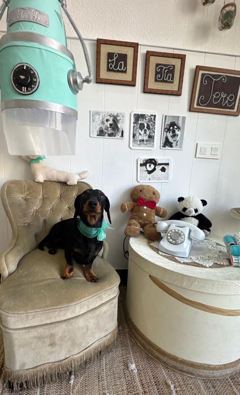 Imagen de La Tía Tere Autolavado Canino y Peluquería Canina
