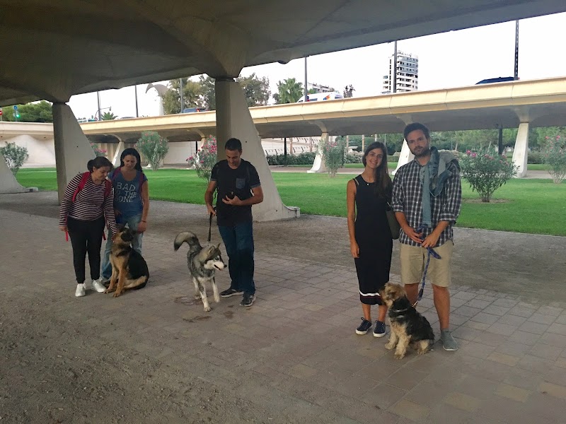 Imagen de negocio en Adiestramiento de mascotas