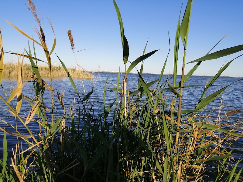 Imagen representativa de la localización