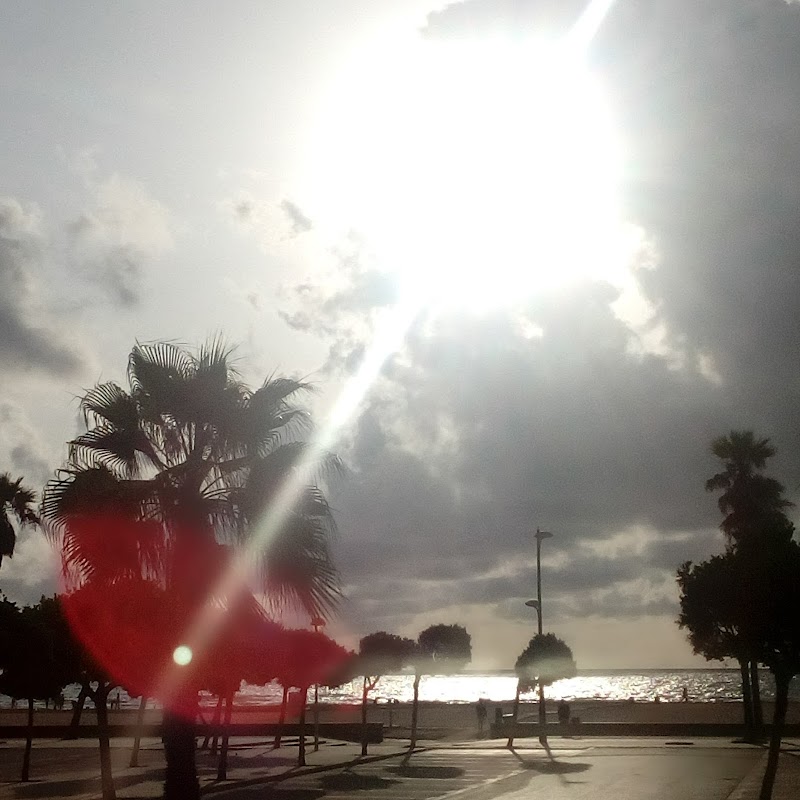 Imagen de Farmacia Patacona