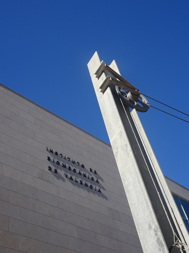 Imagen de Instituto de Biomecánica de Valencia (ibv)