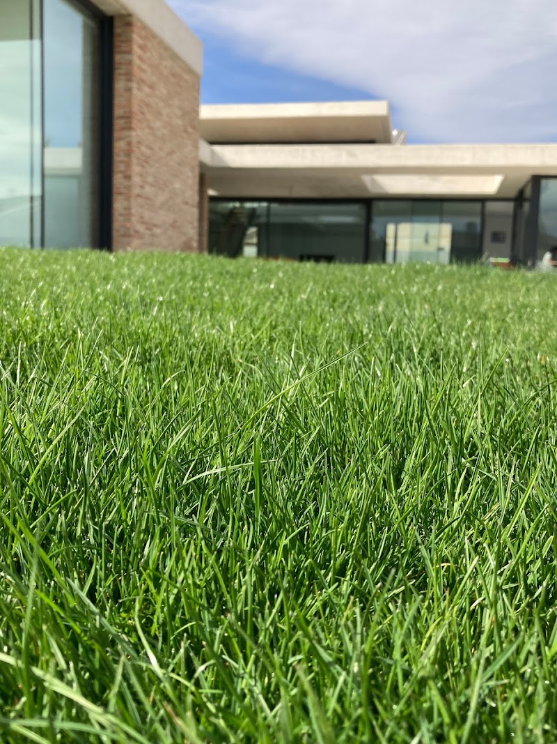 Imagen de Davicultora