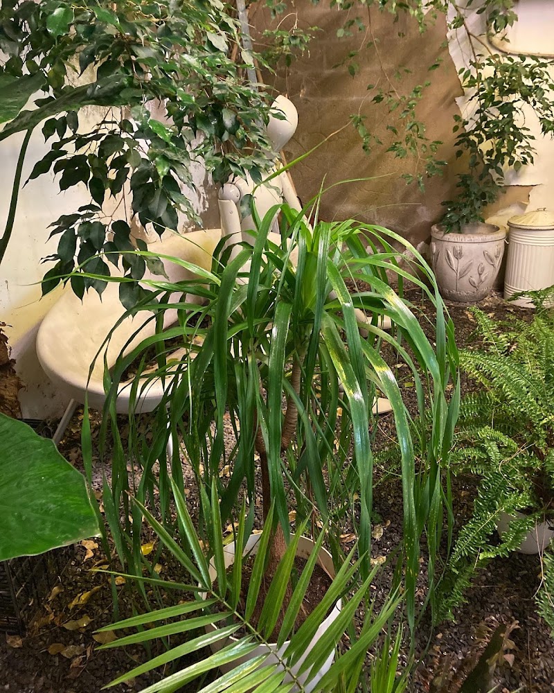 Imagen de Davicultora