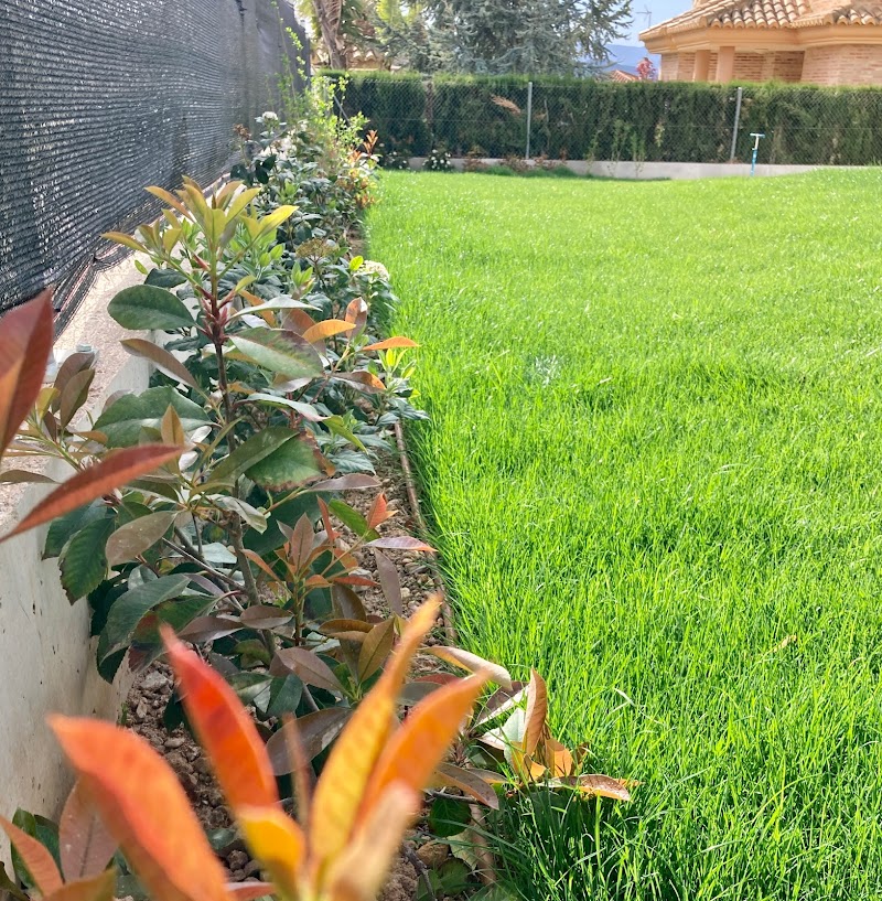 Imagen de Davicultora