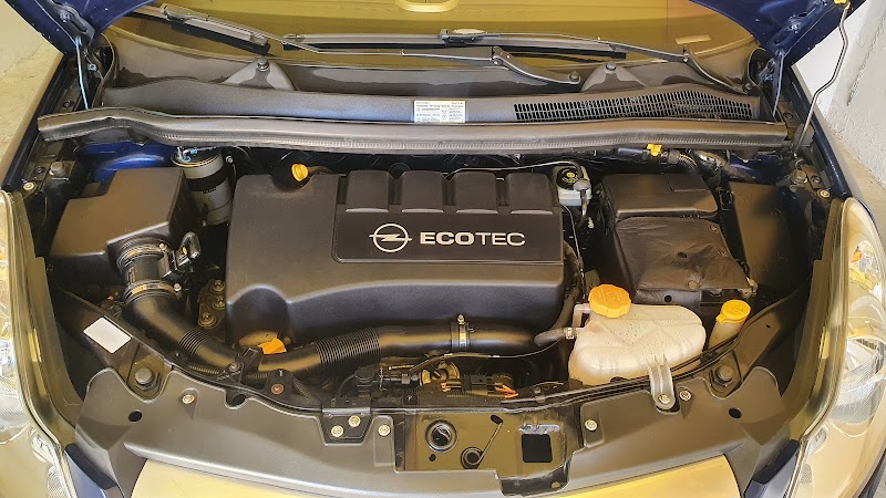 Imagen de Lavado Alboraya