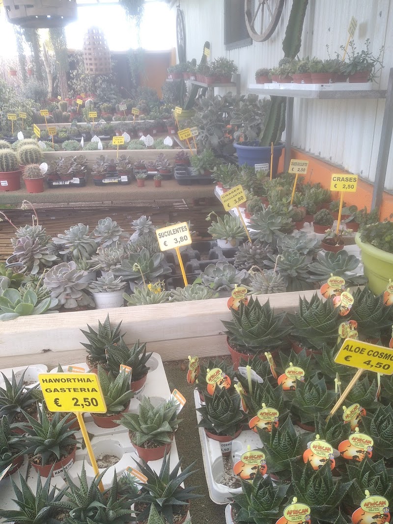 Imagen de Centro de Jardinería Albogarden