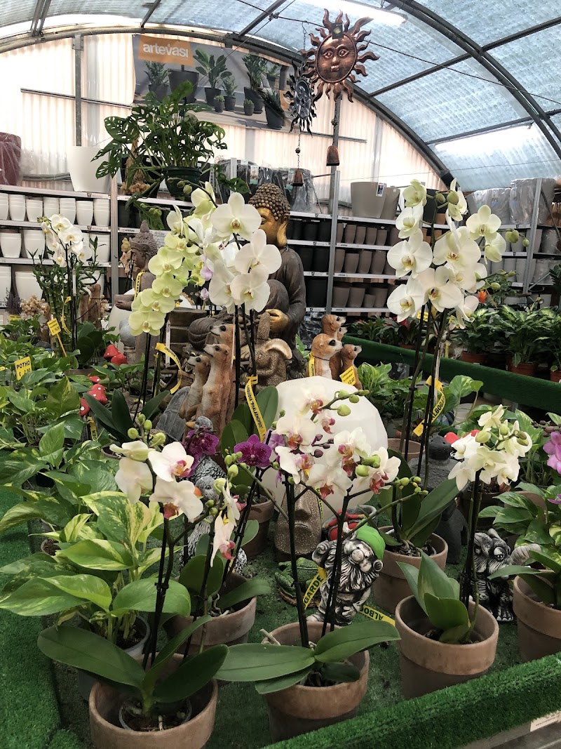 Imagen de Centro de Jardinería Albogarden