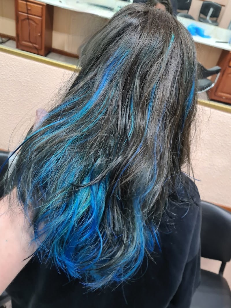 Imagen de Nuevo Estilo Complutense