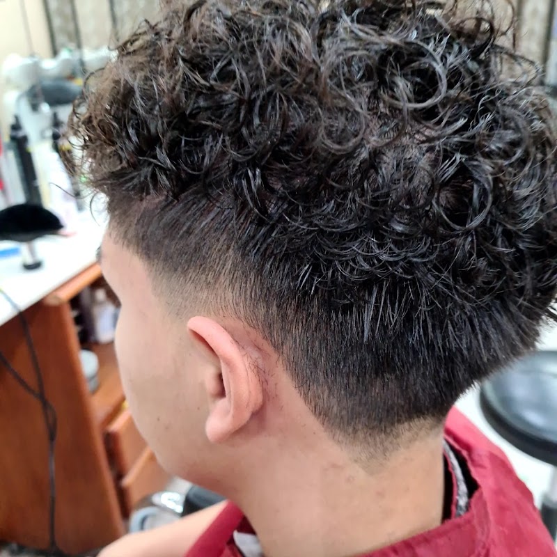 Imagen de Nuevo Estilo Complutense