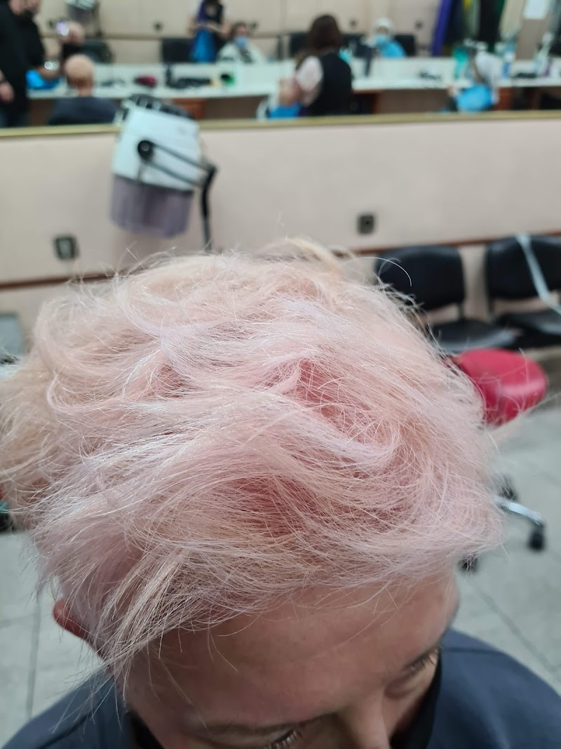 Imagen de Nuevo Estilo Complutense